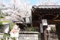 存光寺(広島県)