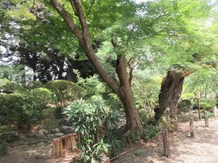 岩槻久伊豆神社(埼玉県)