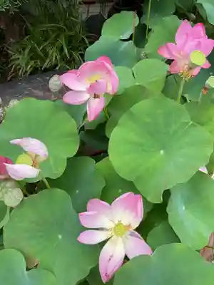 法住寺(愛知県)