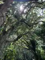 靖国神社(高知県)