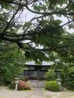 天桂院の御朱印