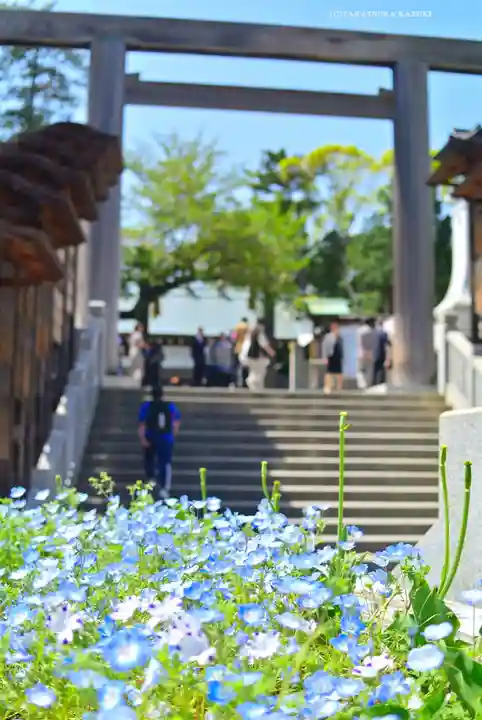 伊勢山皇大神宮(神奈川県)