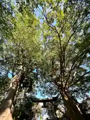 岩崎神社(長野県)