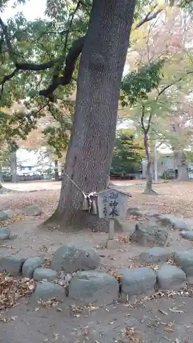 六椹八幡宮のその他建物