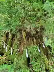 御岩神社の自然