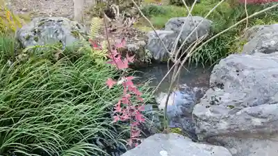 天龍寺(京都府)