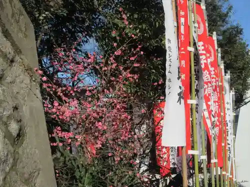 王子稲荷神社の自然