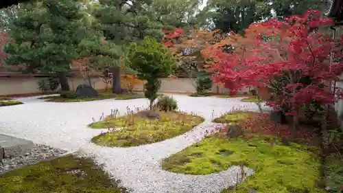 廬山寺（廬山天台講寺）(京都府)