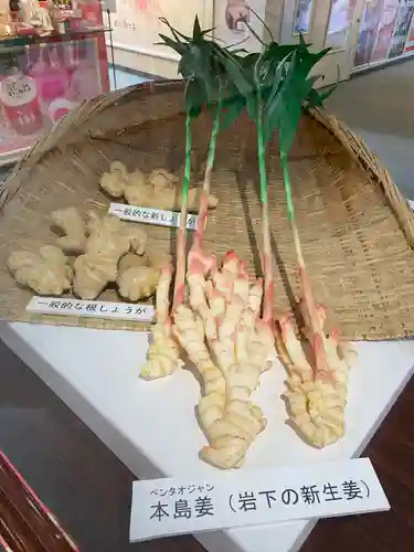 ジンジャー神社(栃木県)