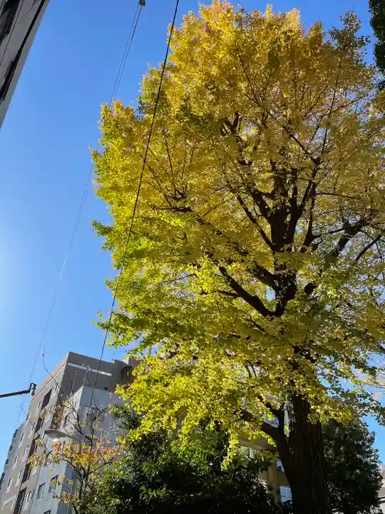 榊神社(東京都)