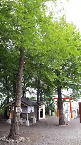 星置神社の自然