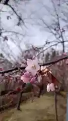 相馬神社(北海道)