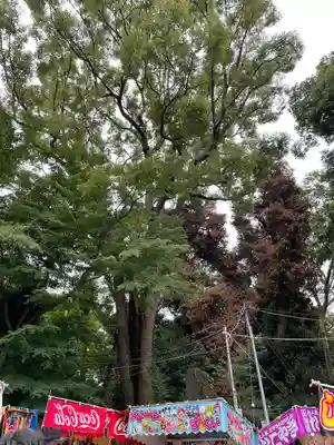 代々木八幡宮のお祭り