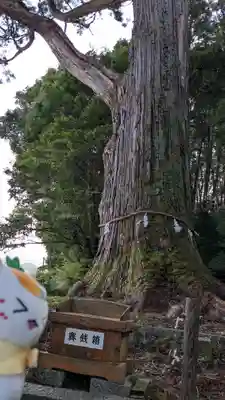 飛龍八幡宮(山口県)