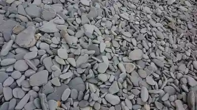 龍蛇神神社の自然