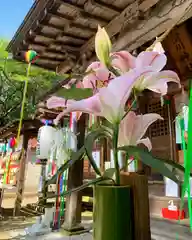 滑川神社 - 仕事と子どもの守り神の建物その他