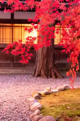 諏訪大社下社秋宮(長野県)