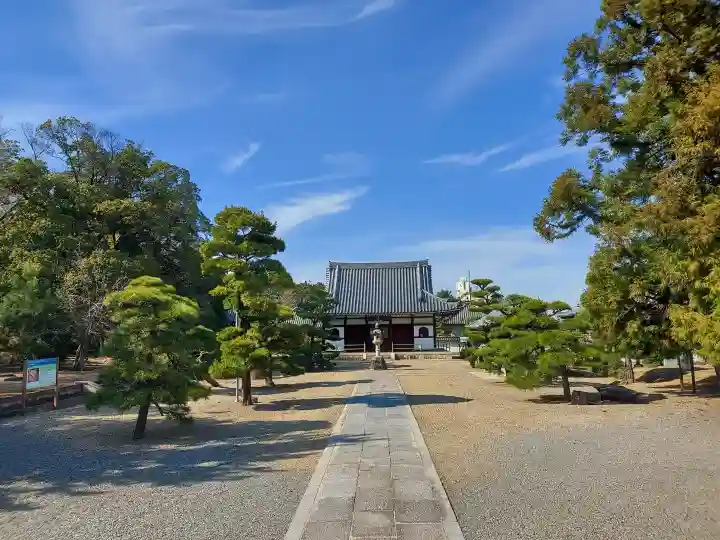 野中寺の{uncategorized: "未分類", other: "その他", undefined: "問題あり", building: "その他建物", grave: "お墓", sacred_gate: "鳥居", guardian: "狛犬", statue: "像", buddha: "仏像", history: "歴史", nature: "自然", garden: "庭園", animal: "動物", pagoda: "塔", temizu: "手水舎", mountain_gate: "山門・神門", sanctuary: "本殿・本堂", subordinate: "末社・摂社", art: "芸術", scenery: "景色", jizo: "地蔵", ema: "絵馬", goshuin: "御朱印", omikuji: "おみくじ", items: "授与品その他", amulet: "お守り", goshuincho: "御朱印帳", eats: "食事", festival: "お祭り", votive_dance: "神楽", shichigosan: "七五三参", wedding: "結婚式", experience: "体験その他", initially: "初詣", around: "周辺", anti_infection: "感染症対策"}