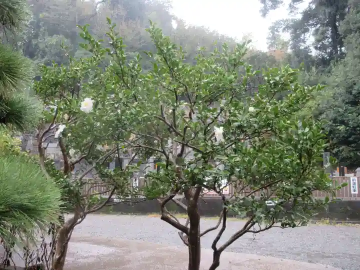 般若院(神奈川県)