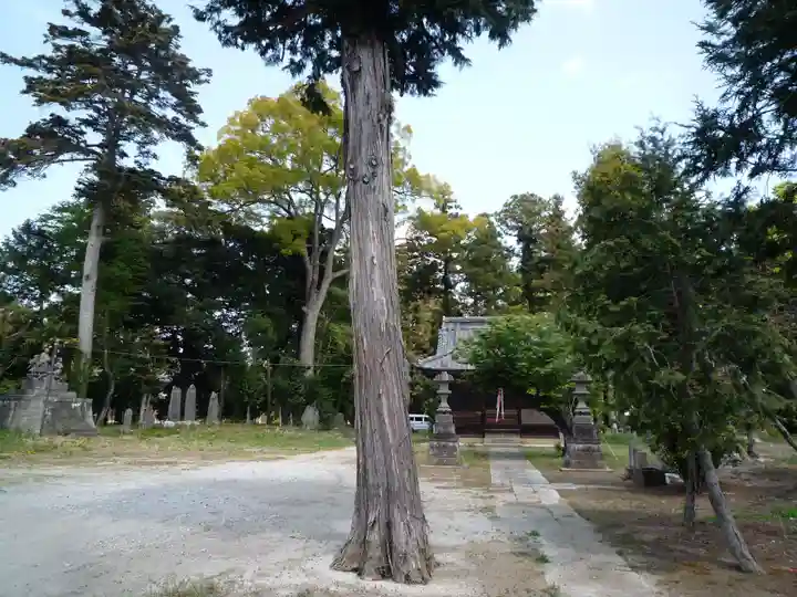 白山神社の自然