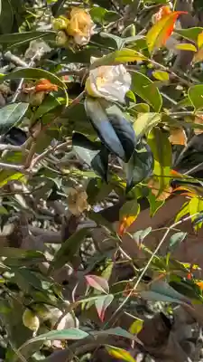 西方尼寺(京都府)