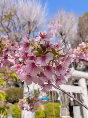 鳩森八幡神社(東京都)
