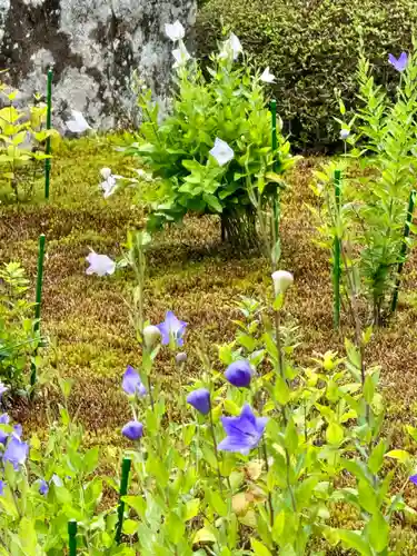 天得院(京都府)