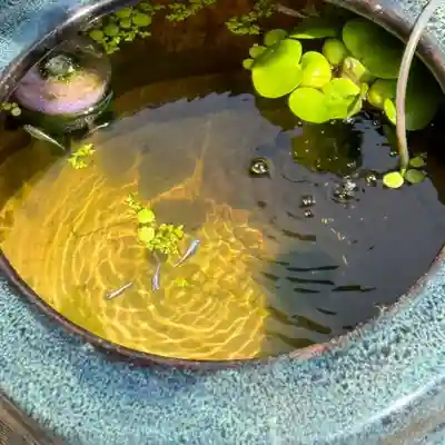 伊勢の国 四天王寺(三重県)