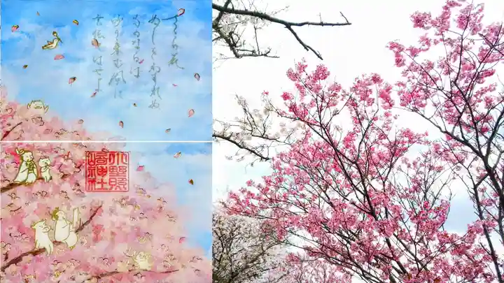 小野照崎神社の御朱印