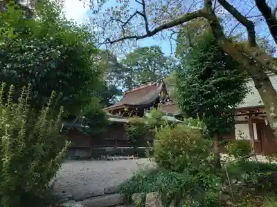 伊太祁曽神社の本殿・本堂