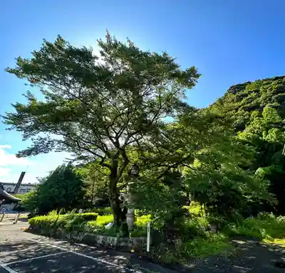 岐阜護國神社(岐阜県)