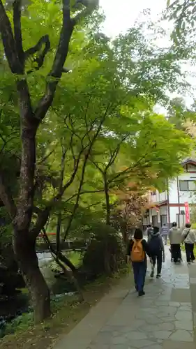 白川吉見神社(熊本県)