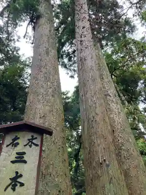 笠森寺(千葉県)
