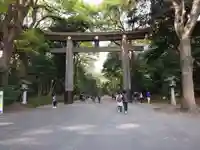 明治神宮の鳥居