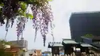 秋葉神社の自然