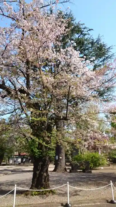 寛永寺(根本中堂)(東京都)
