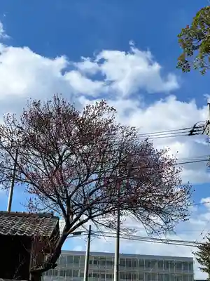 大宮・大原神社(千葉県)