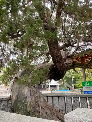 高砂神社(兵庫県)