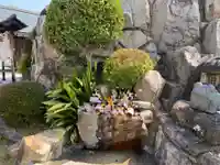 早稲田神社の手水舎