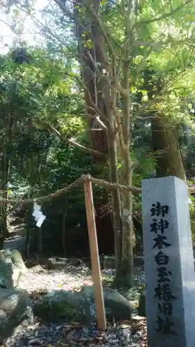 南宮稲荷大明神の自然