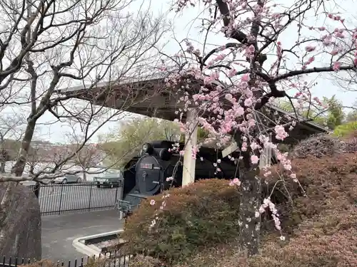 真龍寺(大阪府)