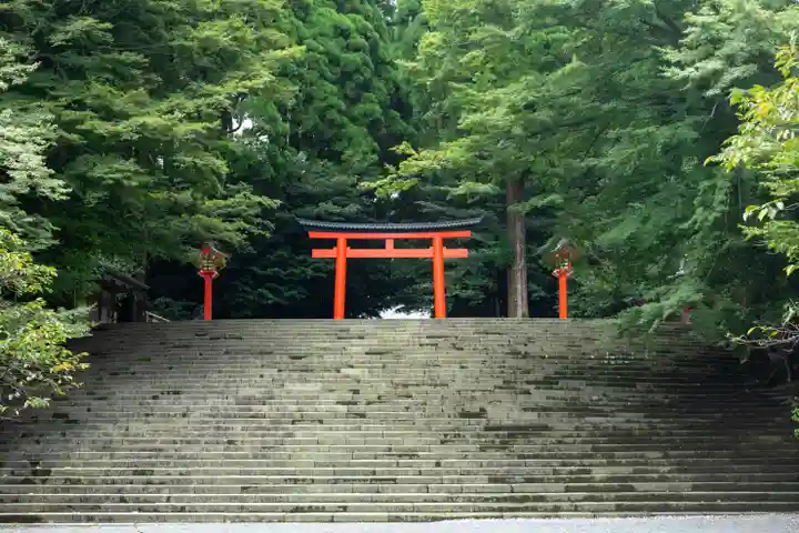 霧島神宮(鹿児島県)