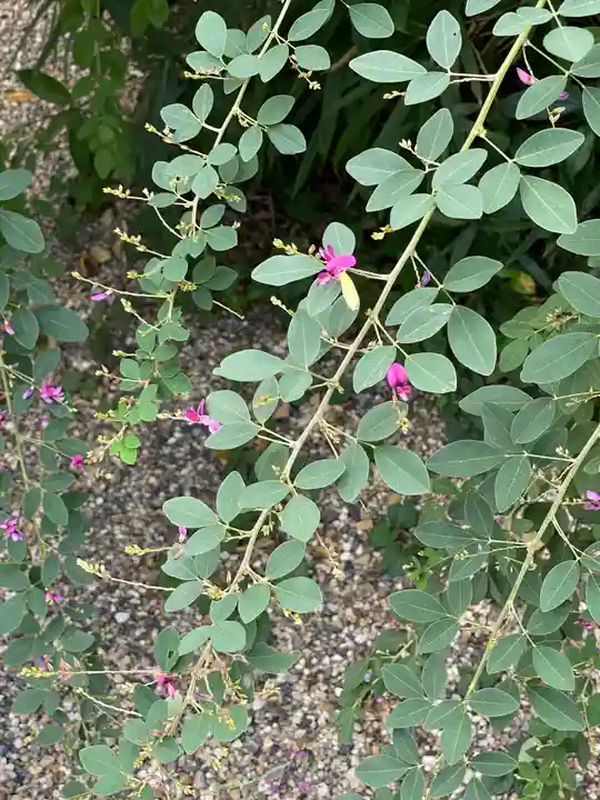梨木神社の自然