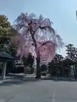 道仁寺(宮城県)