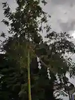 伏木香取神社のお祭り