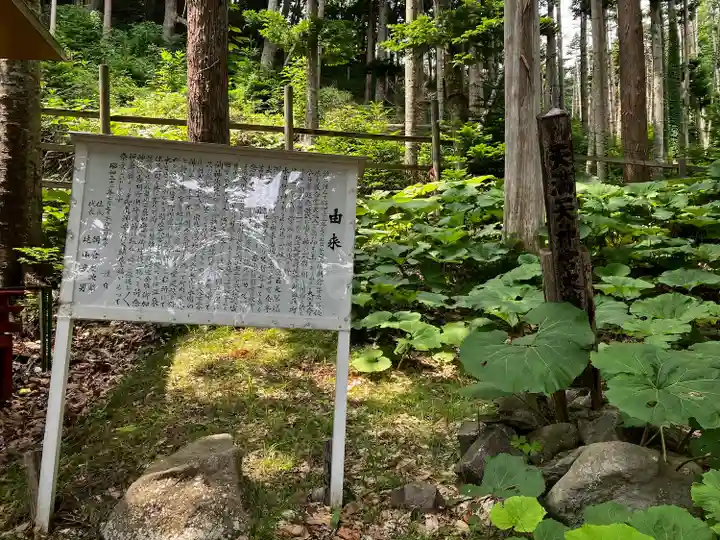 神社(洞爺湖中の島)の歴史