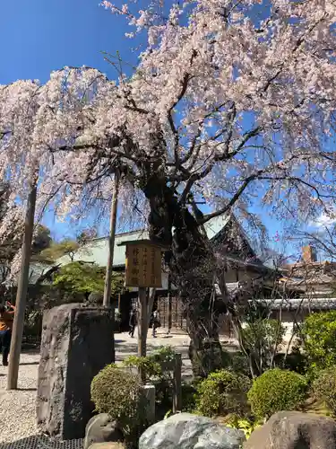 喜多院の庭園