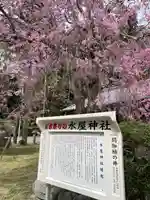 水屋神社(三重県)