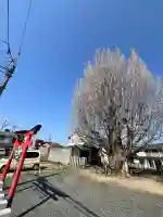 八大龍王辨財天の{uncategorized: "未分類", other: "その他", undefined: "問題あり", building: "その他建物", grave: "お墓", sacred_gate: "鳥居", guardian: "狛犬", statue: "像", buddha: "仏像", history: "歴史", nature: "自然", garden: "庭園", animal: "動物", pagoda: "塔", temizu: "手水舎", mountain_gate: "山門・神門", sanctuary: "本殿・本堂", subordinate: "末社・摂社", art: "芸術", scenery: "景色", jizo: "地蔵", ema: "絵馬", goshuin: "御朱印", omikuji: "おみくじ", items: "授与品その他", amulet: "お守り", goshuincho: "御朱印帳", eats: "食事", festival: "お祭り", votive_dance: "神楽", shichigosan: "七五三参", wedding: "結婚式", experience: "体験その他", initially: "初詣", around: "周辺", anti_infection: "感染症対策"}