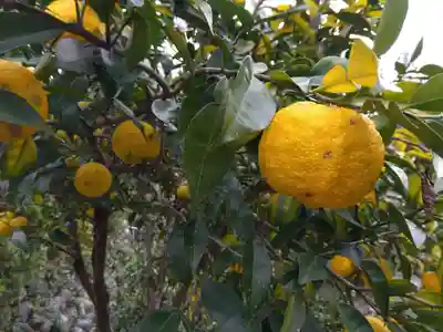 桂昌寺(岐阜県)